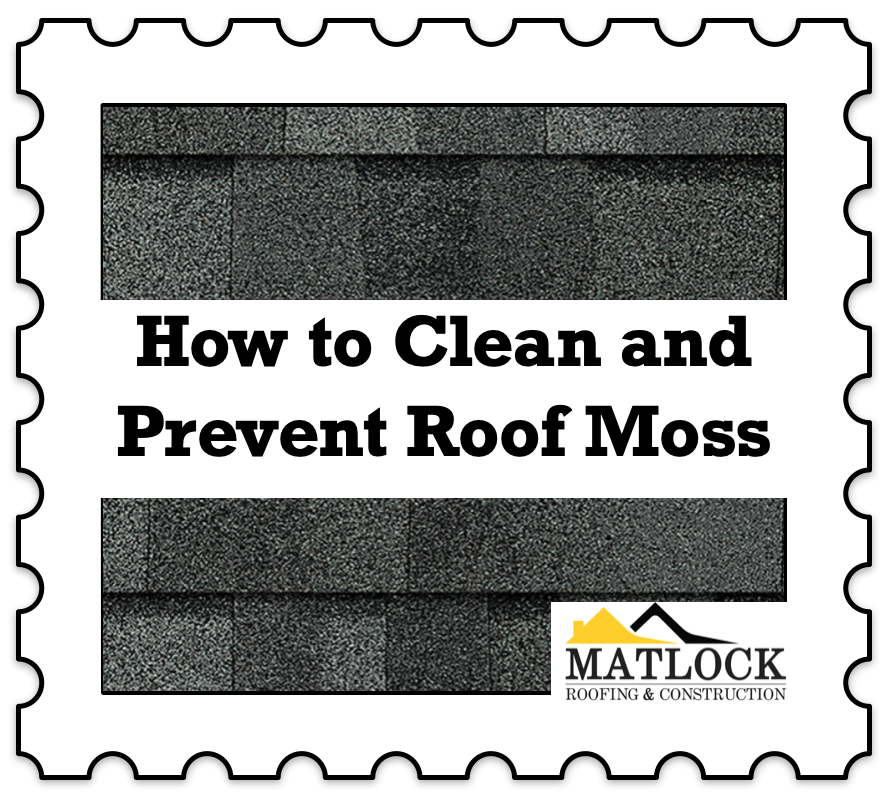 How to Clean and Prevent Roof Moss