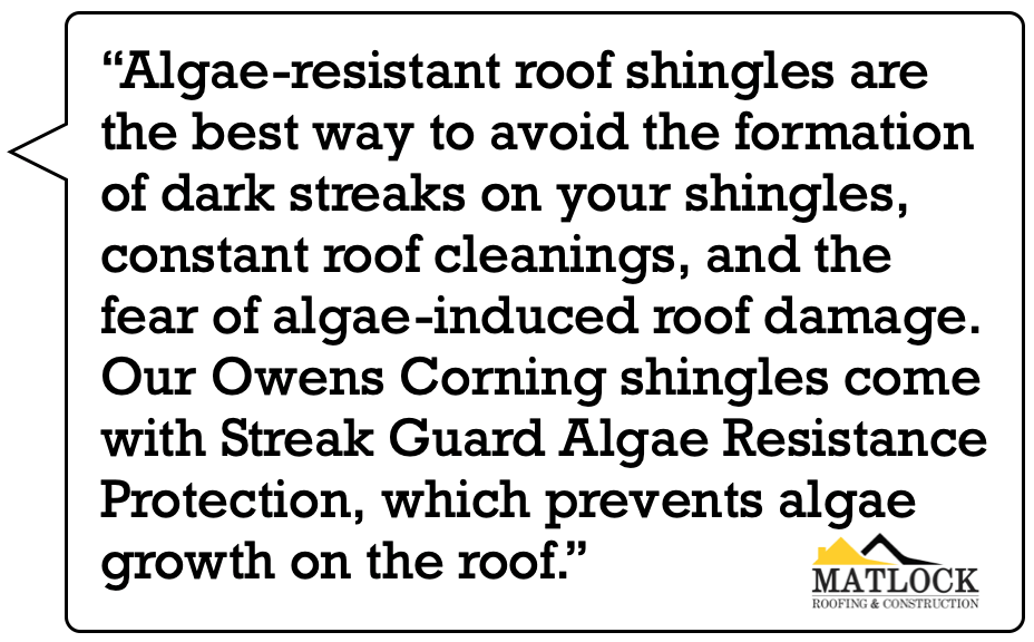 Learn-the-Benefits-of-Algae-Resistant-Roof-Shingles